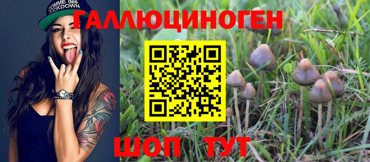Псилоцибиновые грибы мицелий  Псилоцибиновые грибы Cubensis  Вход с VPN  Черемхово 